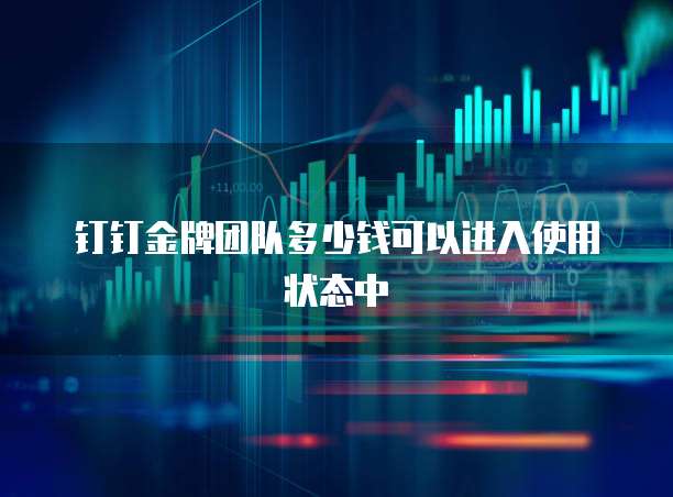 钉钉金牌团队多少钱可以进入使用状态中
