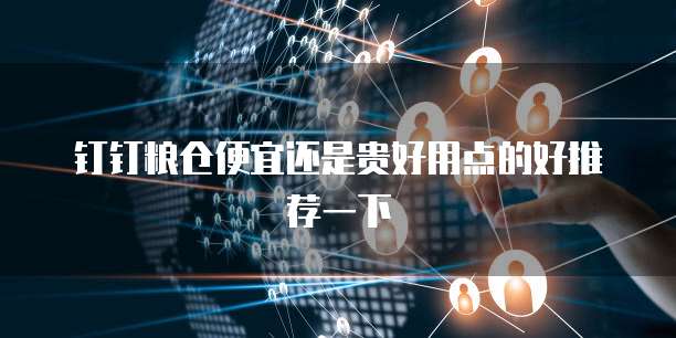 钉钉粮仓便宜还是贵好用点的好推荐一下