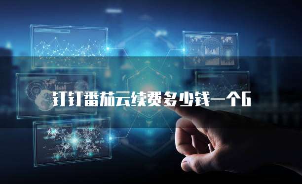 钉钉番茄云续费多少钱一个G