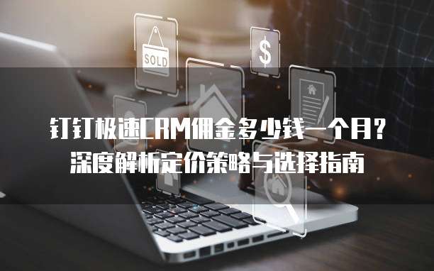 钉钉极速CRM佣金多少钱一个月?深度解析定价策略与选择指南