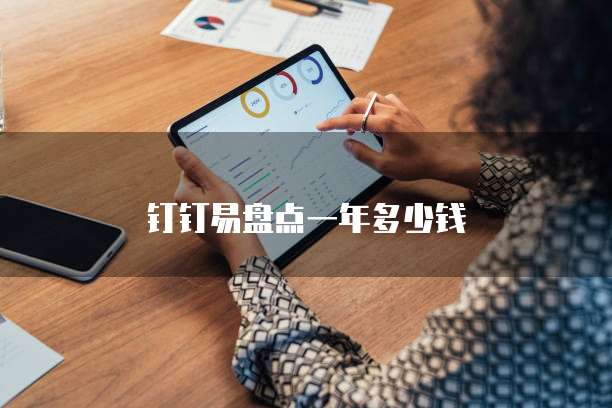 钉钉易盘点一年多少钱