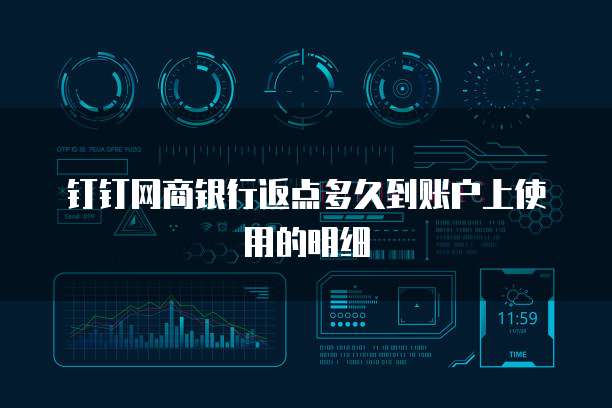 钉钉网商银行返点多久到账户上使用的明细
