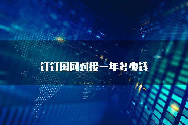 钉钉国网对接一年多少钱