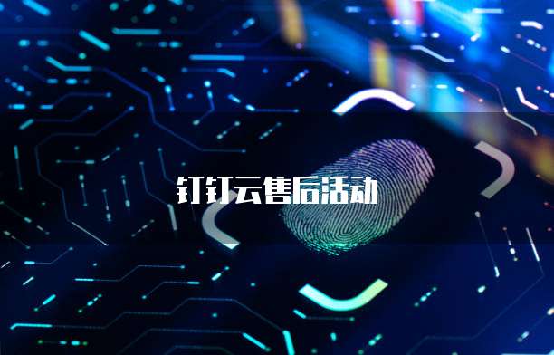 钉钉云售后活动