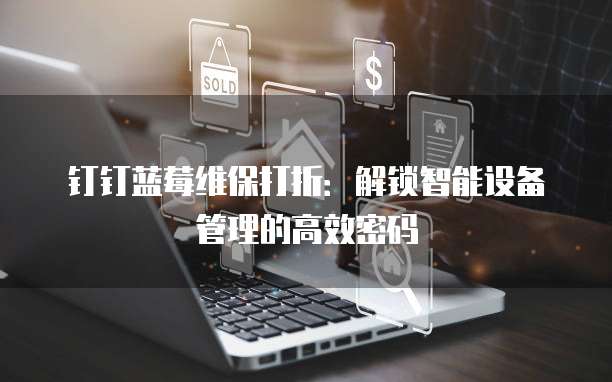 钉钉蓝莓维保打折:解锁智能设备管理的高效密码