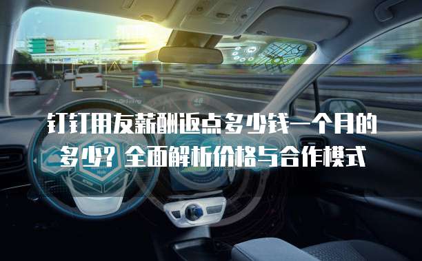 钉钉用友薪酬返点多少钱一个月的多少?全面解析价格与合作模式