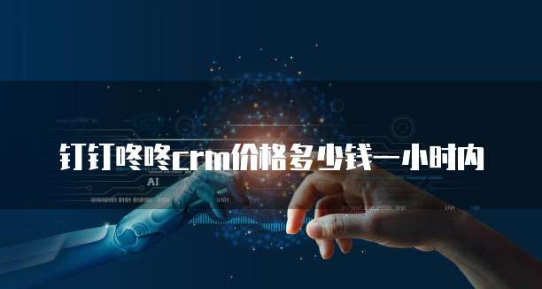 钉钉咚咚crm价格多少钱一小时内