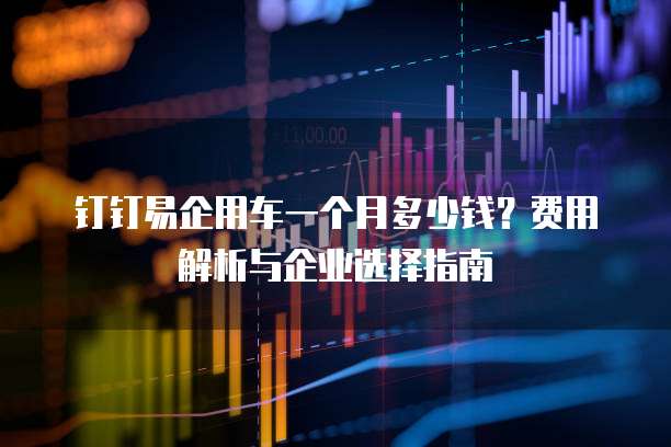 钉钉易企用车一个月多少钱?费用解析与企业选择指南