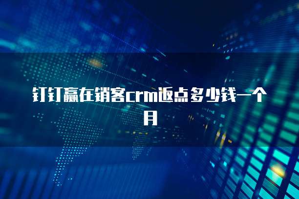 钉钉赢在销客crm返点多少钱一个月