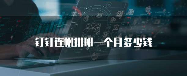 钉钉连帆排班一个月多少钱