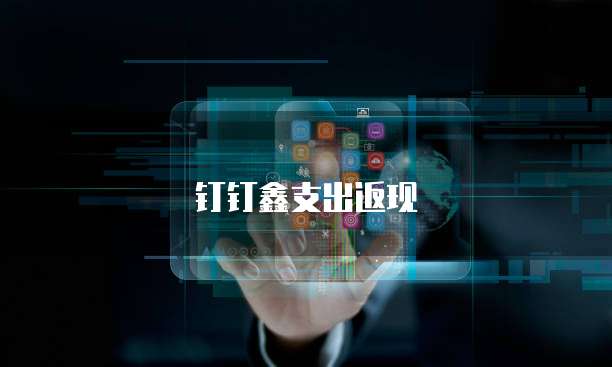 钉钉鑫支出返现