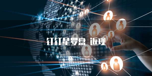 钉钉星罗盘 返现