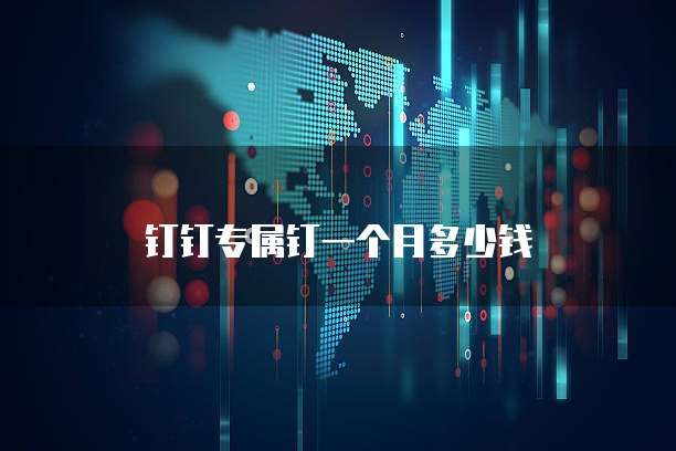 钉钉专属钉一个月多少钱