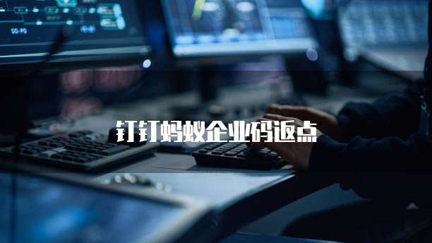 钉钉蚂蚁企业码返点
