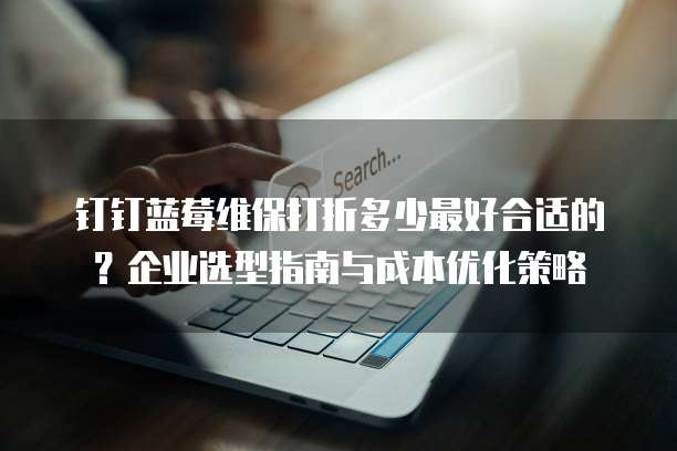 钉钉蓝莓维保打折多少最好合适的？企业选型指南与成本优化策略