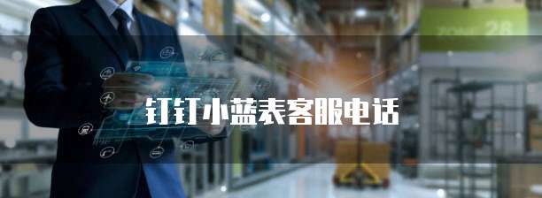 钉钉小蓝表客服电话