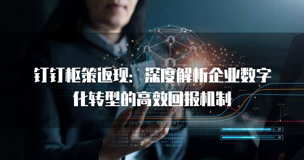 钉钉枢策返现：深度解析企业数字化转型的高效回报机制