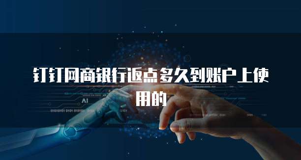 钉钉网商银行返点多久到账户上使用的