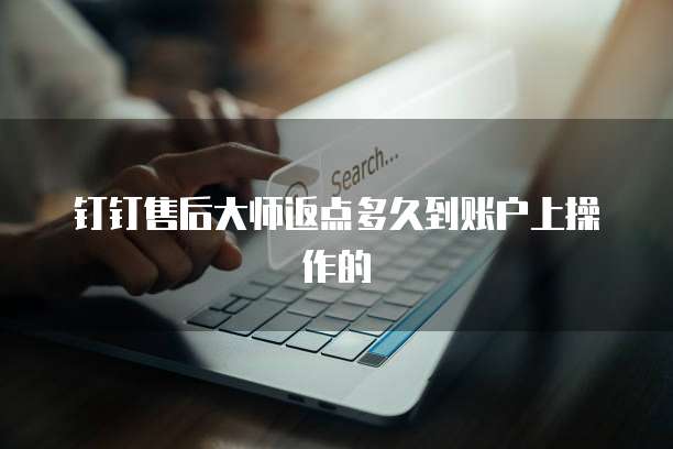 钉钉售后大师返点多久到账户上操作的