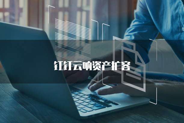 钉钉云呐资产扩容