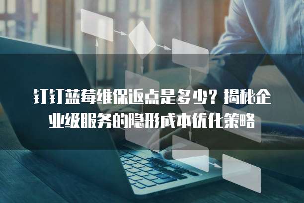 钉钉蓝莓维保返点是多少?揭秘企业级服务的隐形成本优化策略