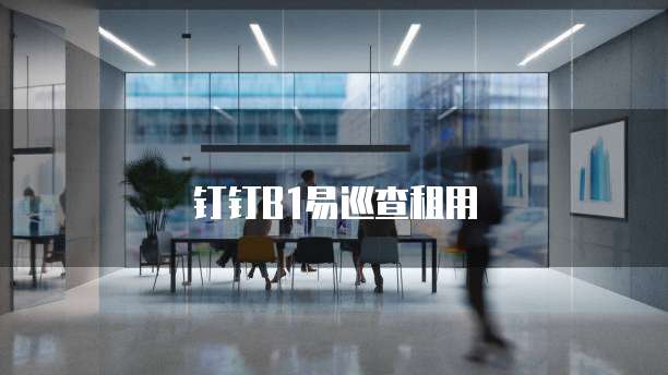 钉钉B1易巡查租用