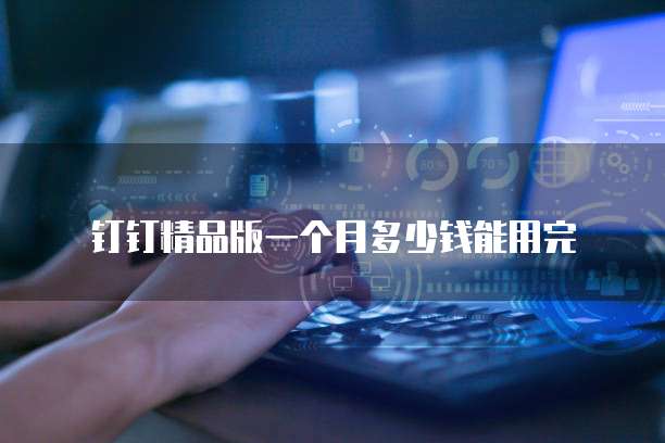 钉钉精品版一个月多少钱能用完