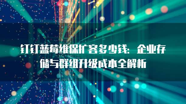 钉钉蓝莓维保扩容多少钱：企业存储与群组升级成本全解析