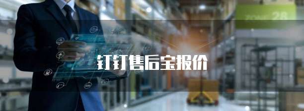 钉钉售后宝报价