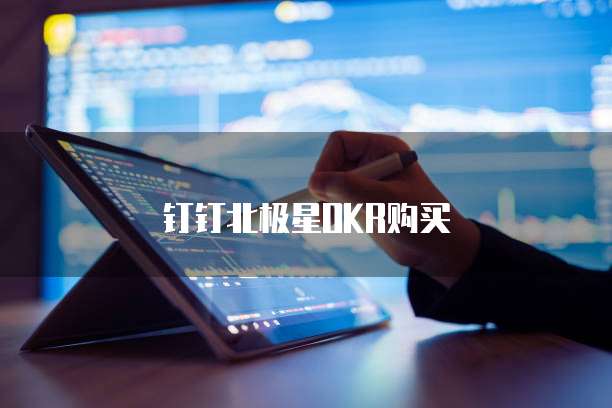 钉钉北极星OKR购买
