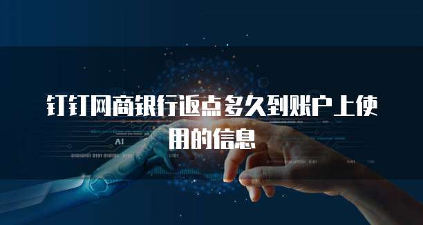 钉钉网商银行返点多久到账户上使用的信息