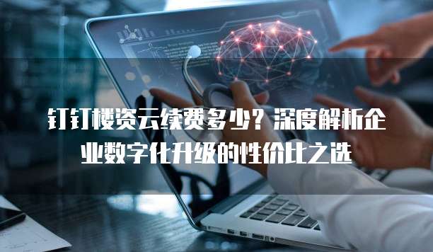 钉钉楼资云续费多少?深度解析企业数字化升级的性价比之选