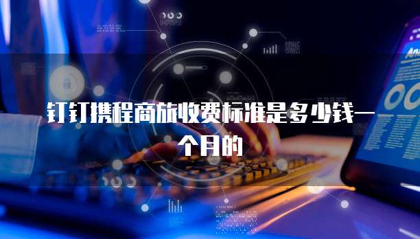 钉钉携程商旅收费标准是多少钱一个月的