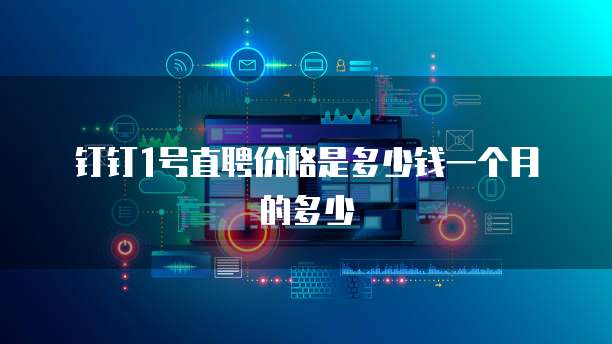 钉钉1号直聘价格是多少钱一个月的多少
