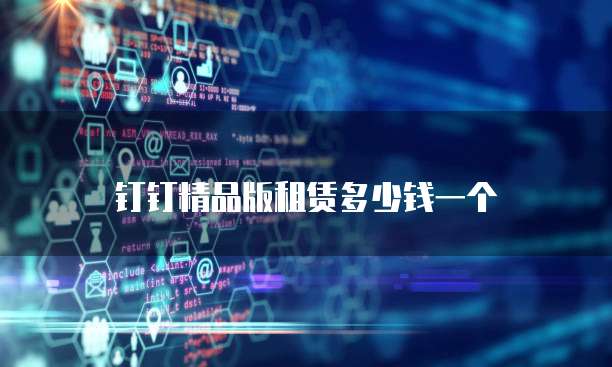 钉钉精品版租赁多少钱一个