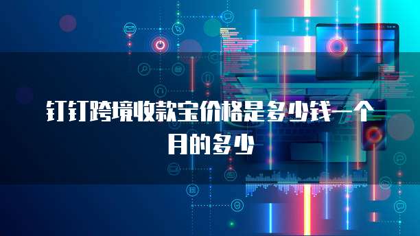 钉钉跨境收款宝价格是多少钱一个月的多少
