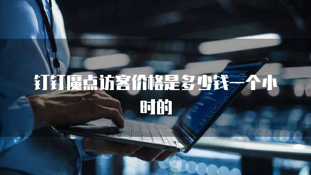 钉钉魔点访客价格是多少钱一个小时的
