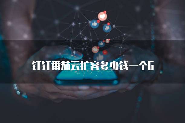 钉钉番茄云扩容多少钱一个G