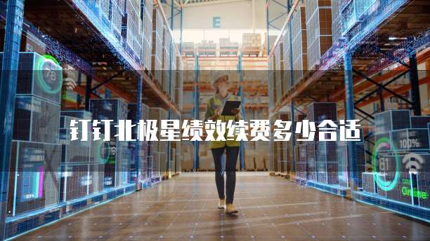 钉钉北极星绩效续费多少合适