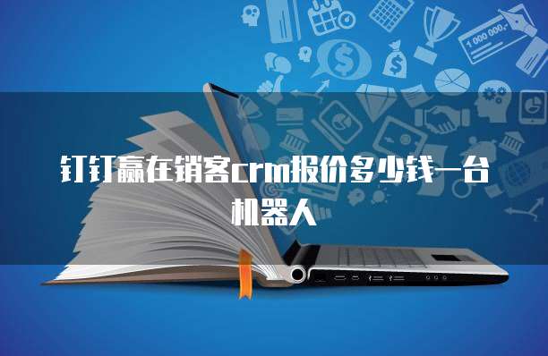 钉钉赢在销客CRM报价多少钱一台机器人