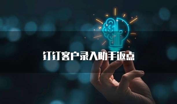 钉钉客户录入助手返点