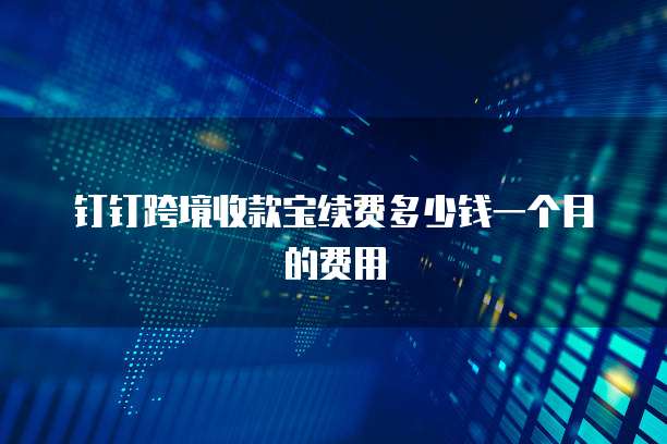 钉钉跨境收款宝续费多少钱一个月的费用