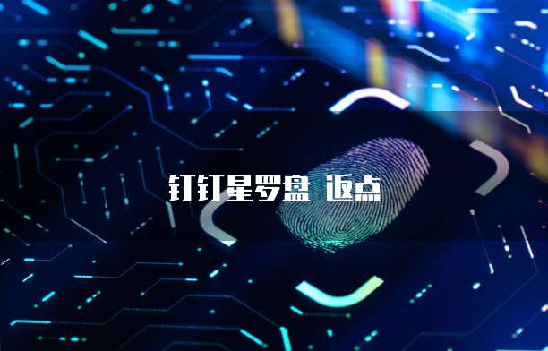钉钉星罗盘 返点