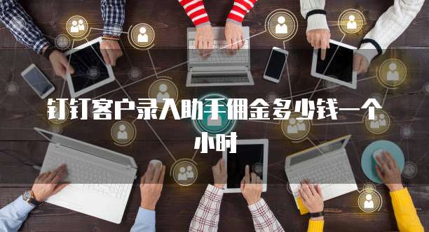 钉钉客户录入助手佣金多少钱一个小时
