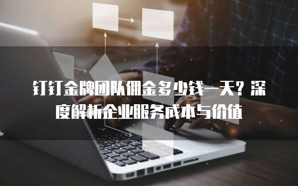 钉钉金牌团队佣金多少钱一天？深度解析企业服务成本与价值 