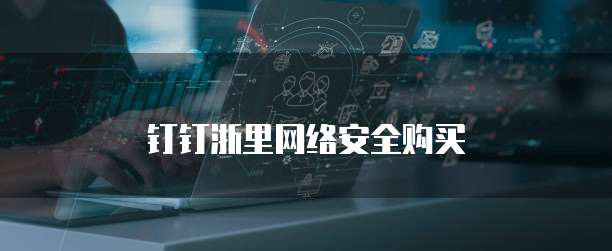 钉钉浙里网络安全购买