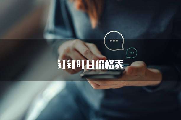 钉钉盯目价格表