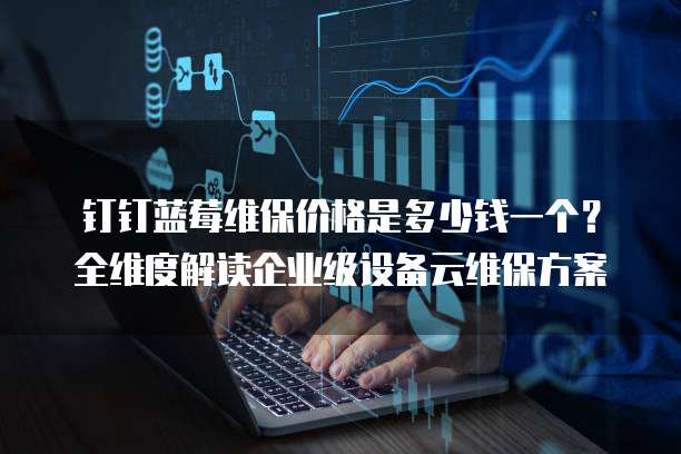 钉钉蓝莓维保价格是多少钱一个?全维度解读企业级设备云维保方案