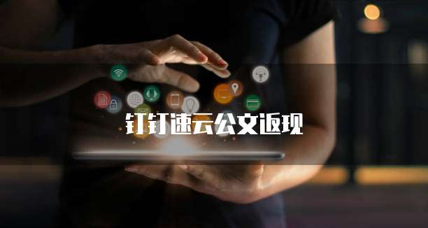 钉钉速云公文返现