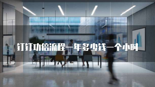 钉钉功倍流程一年多少钱一个小时